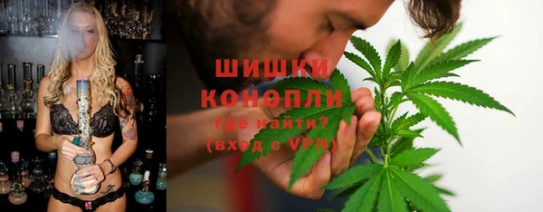 гидропоника Богданович