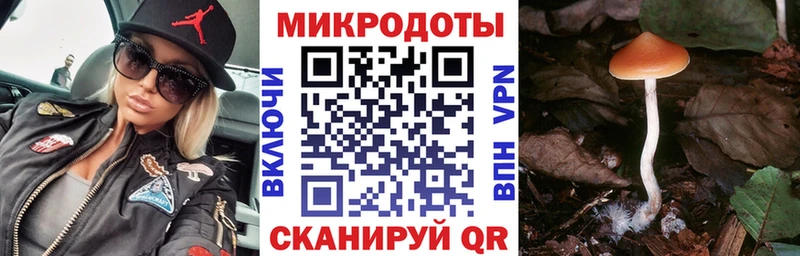 Псилоцибиновые грибы мицелий  Бирюч 
